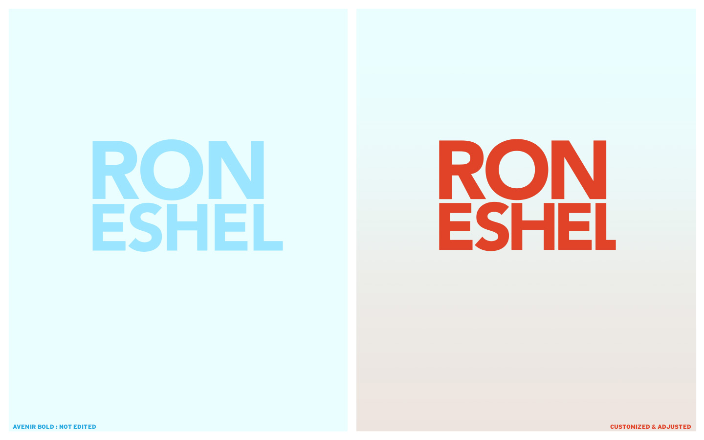 roneshel logo